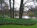 Keukenhof